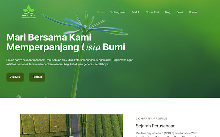saas2